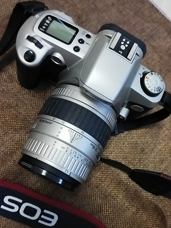 佳能胶片机kiss3。