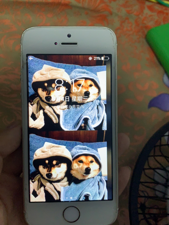 品牌型号 iPhone 5s