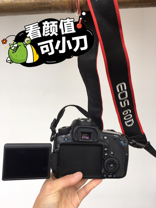 佳能EOS 60D套机专业数码单反啥都有！...
