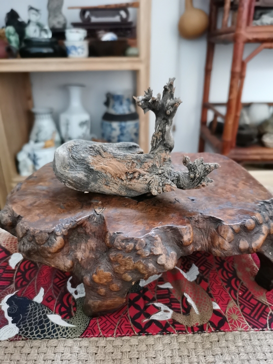 太行崖柏象形梅花鹿，头部出彩，案头陈设使用...