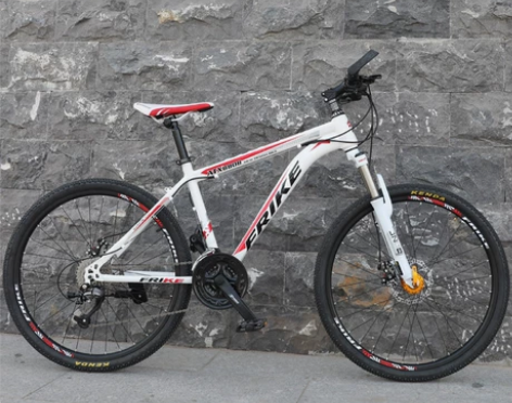 厂家直供单速21速，24.27速26寸福瑞...