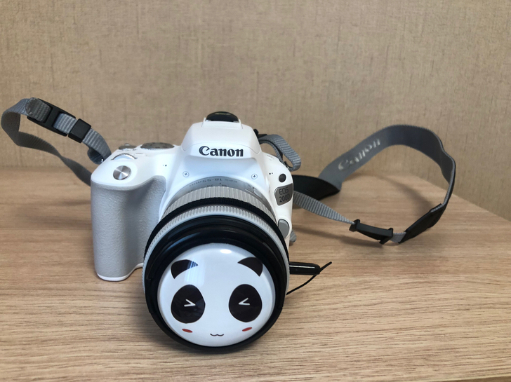 佳能（Canon）EOS 200D 单反相...