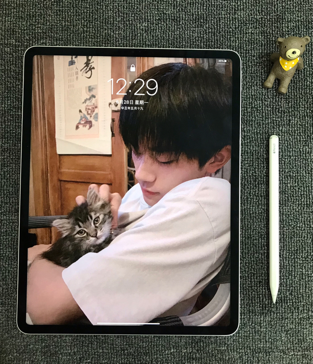 M1芯片iPad pro2021款128G...