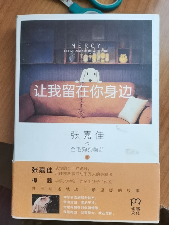 【正版包邮】让我留在你身边  张嘉佳 青春...
