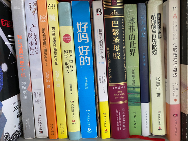 暑假阅读 青春文学 飞呀少年，好嘛好的 安...
