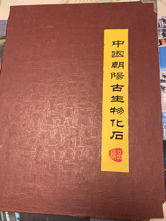 古生物化石