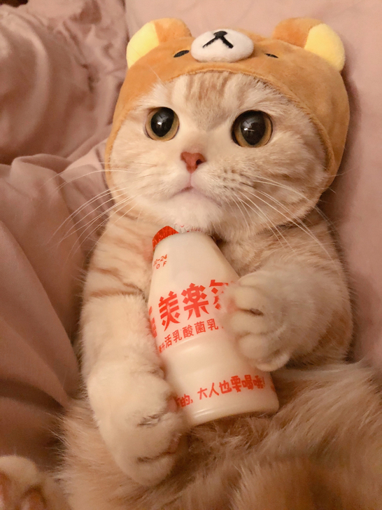 《长恨歌》演出门票 最低打折票 优惠价格