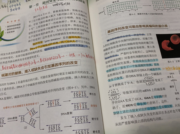 都是很用心的记过笔记的,是课上的精华,因为...