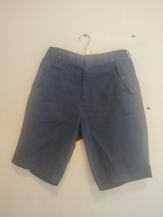 Lacoste男装短裤，s号，165/76...