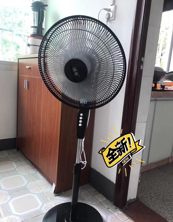 节能大甩卖全新落地风扇，5叶风叶扇，16寸...