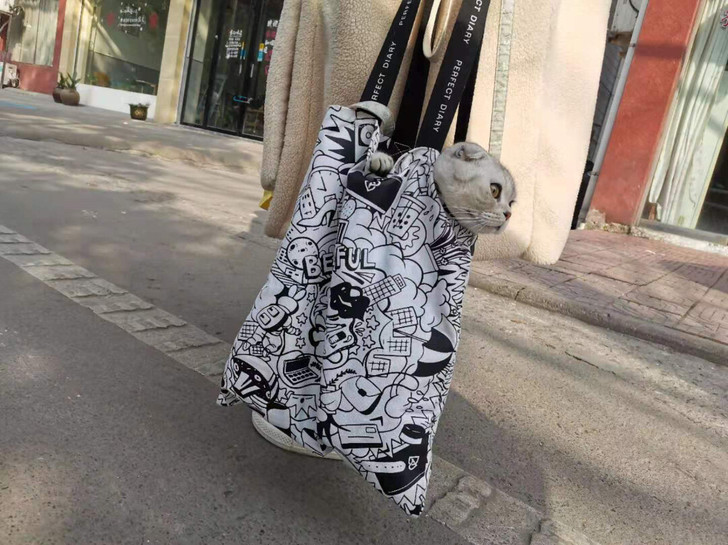 完美日记帆布袋正品全新!完美日记态度涂鸦限...