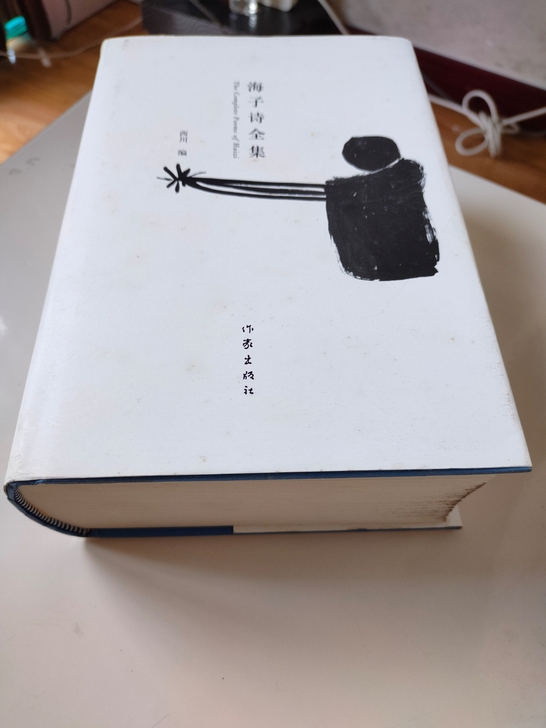 海子诗全集 基本全新只是封面脏了一点 原价...