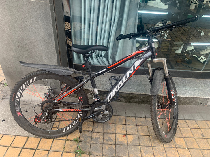 妹妹的自行车 实体店买的一千多  本来打算...