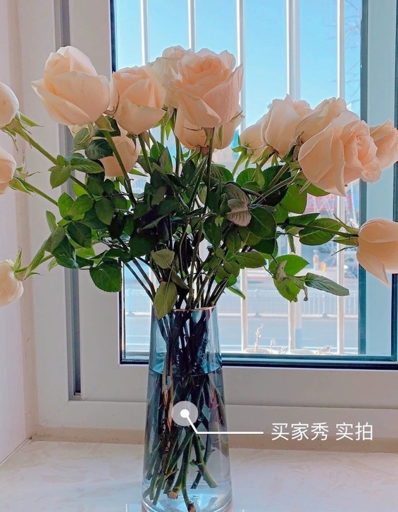 北欧ins风玻璃花瓶透明水养富贵竹插花干鲜...
