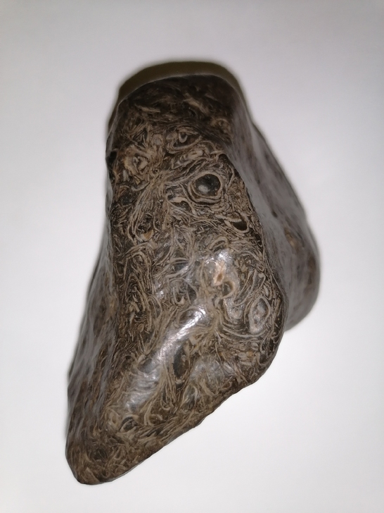 哈密罗布泊沙漠捡的化石原石摆件，完整无缺