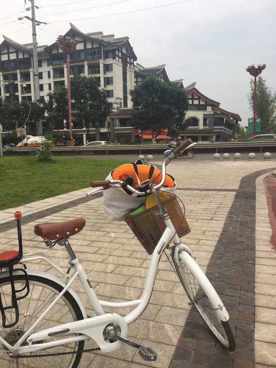 凤凰自行车女轻便代步单车,尺寸:24寸。裸...