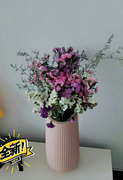 北欧风格花瓶全新防摔家居插花卧室居家摆件