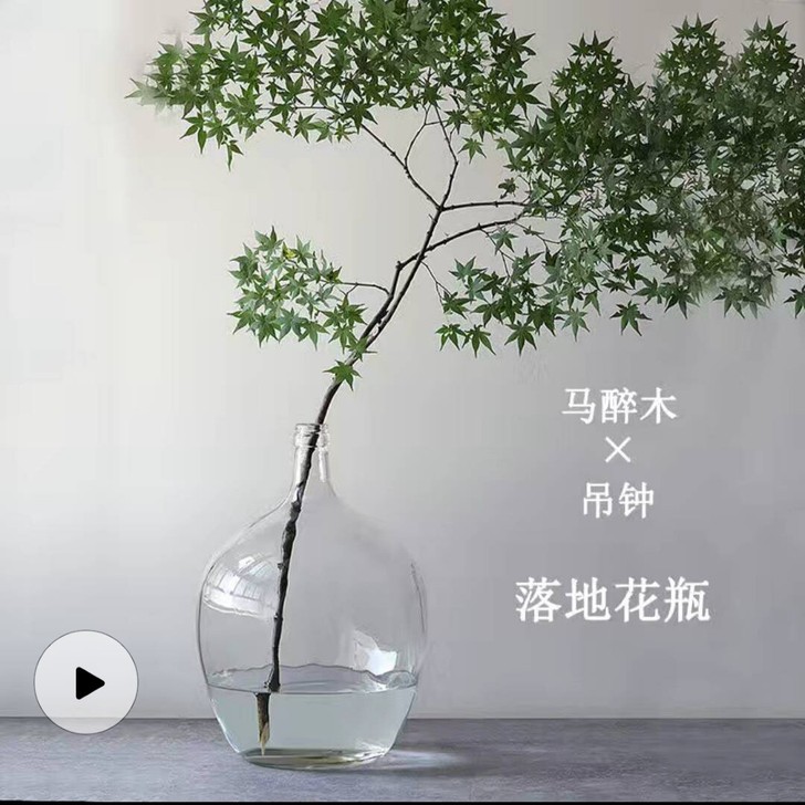 北欧简约小口大肚玻璃花瓶马醉木花瓶 日本吊...