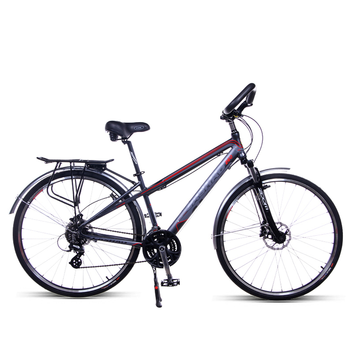 卡莎蒂 旅行自行车