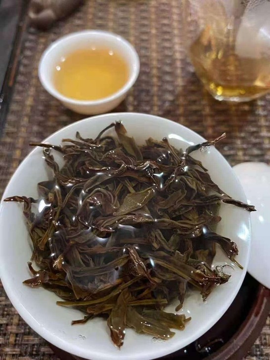 潮州凤凰单枞高山种植,常年云雾缭绕,雾水滋...