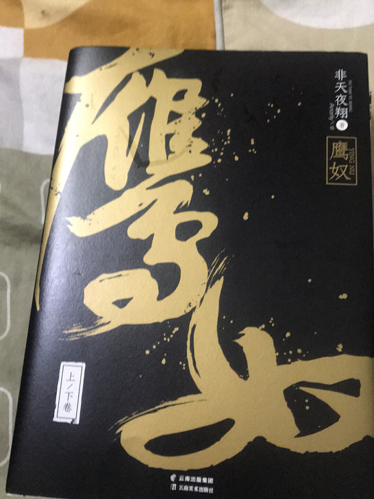 《鹰奴》by非天夜翔，大陆商志，首刷周全，...