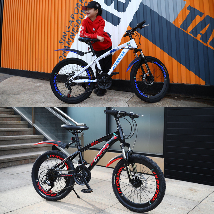 Phoenix/凤凰 自行车