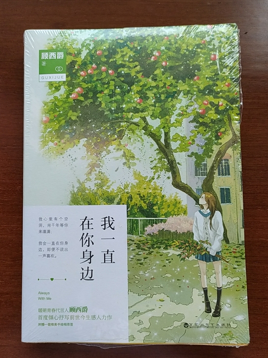 我一直在你身边