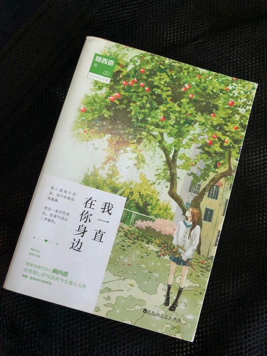 顾西爵的小说，看过一两次，在新华书店买的正...
