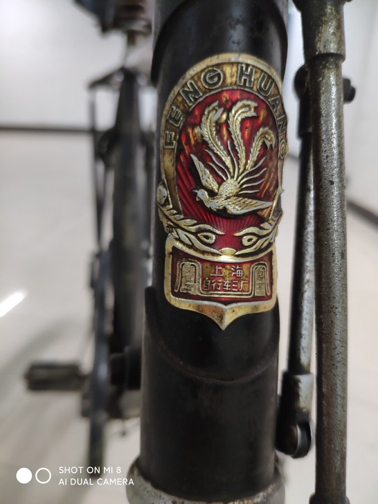 老凤凰28自行车！