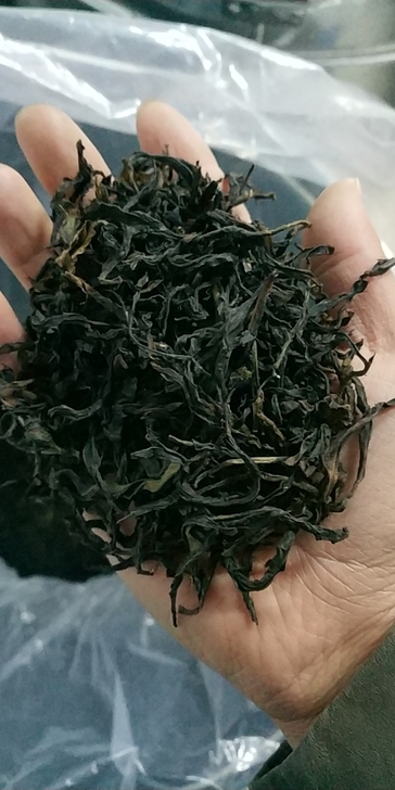 凤凰单丛茶大乌叶，自己家种的，品质好。