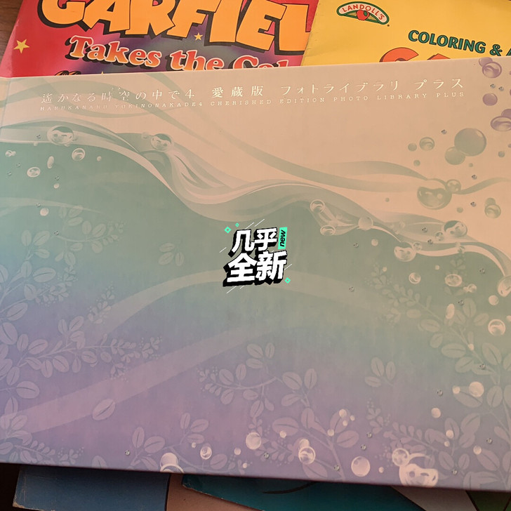 托朋友日本带回的遥远时空中4套装里的爱藏版...