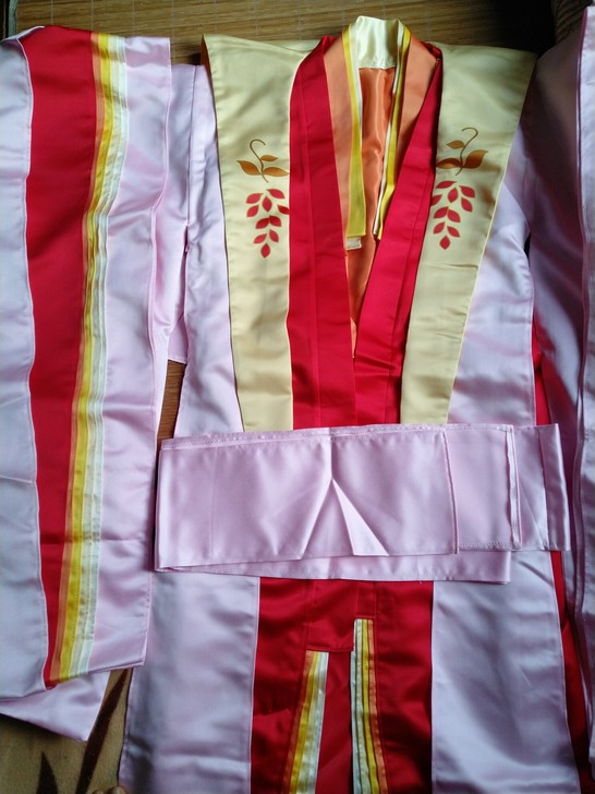 遥远时空中 藤姬 cos服