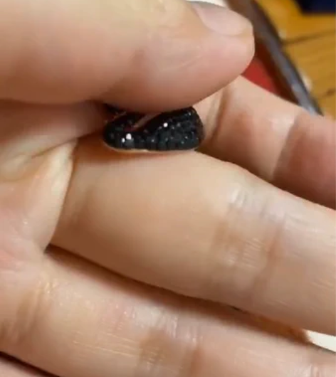 施华洛世奇水晶项链纯黑金天鹅跳动的心项链，...