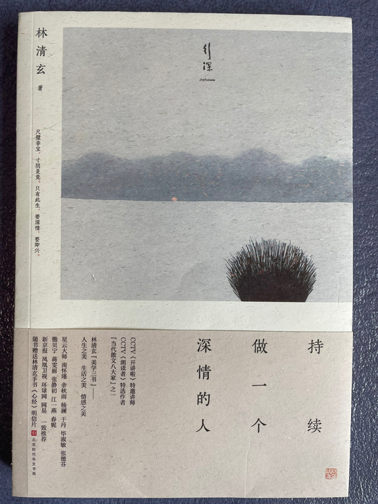 全新 持续做一个深情的人 林清玄散文