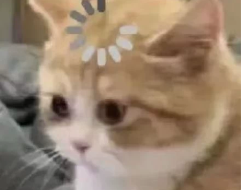 【收】 *卡拉马佐夫兄弟音乐剧 任意泽场3...