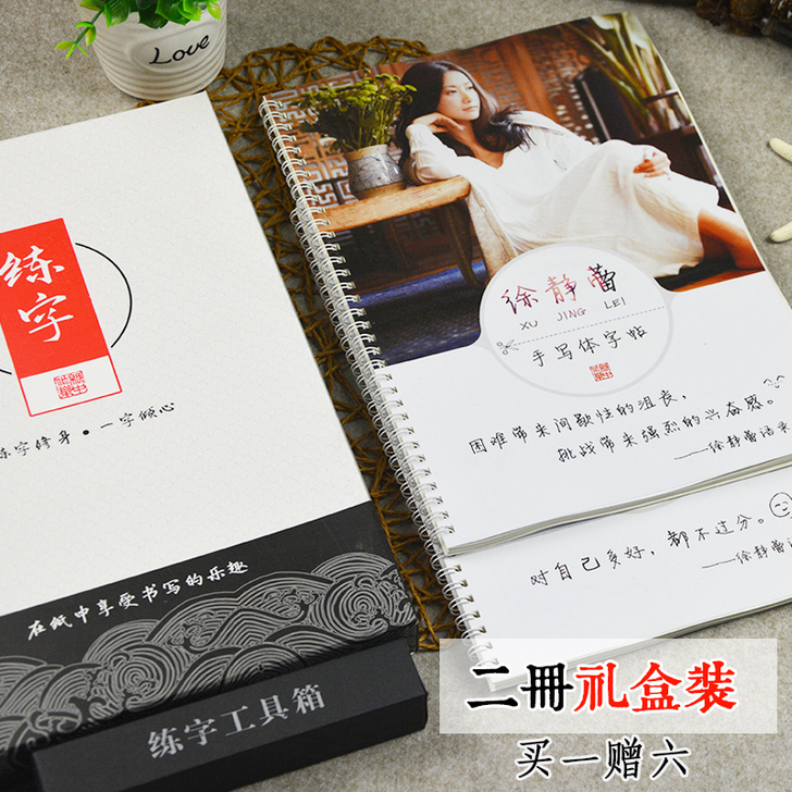 徐静蕾成人手写体方正静蕾练字帖行书女生大学...
