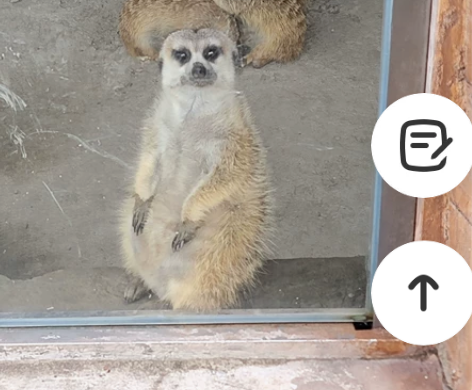 各种体育赛事门票电子竞技门票 演唱会生日会...