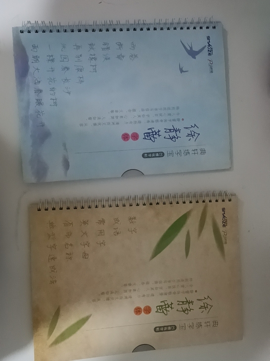 徐静蕾字帖   凹槽练字帖