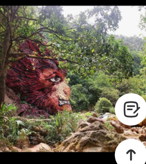 游玩门票 佛山南海湾森林生态园登山+溯溪套...