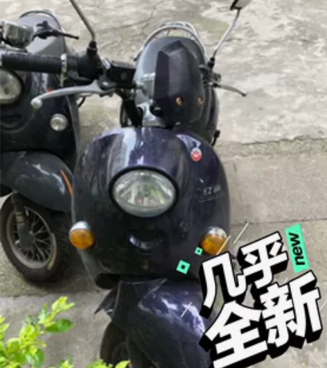 大家好,我们的电车可按月租、按周租,按月租...