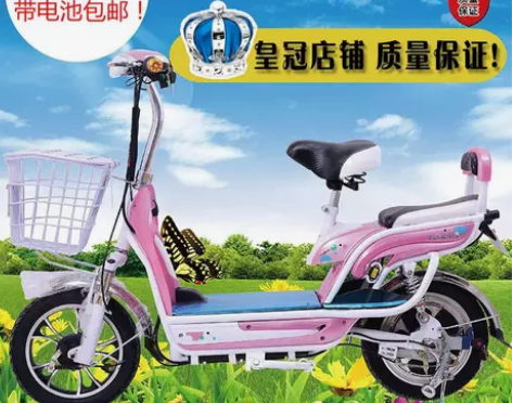 飞鸽正品 电动车 电动自行车 踏板车电...