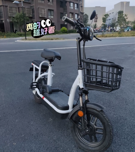 哈啰棒途H16电动车，官方原价1299，现...