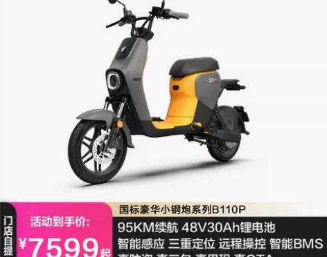 Ninebot九号B110P新国标9号智能...