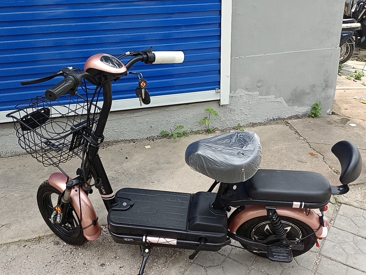 全新电动车,1000元不还价,店里提车