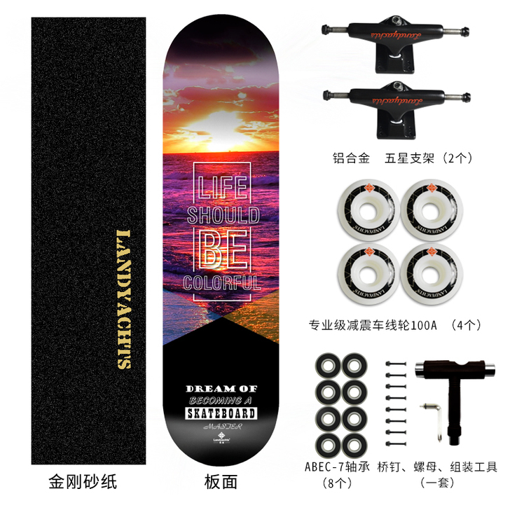 landyachts 滑板，适合新手扫街，...