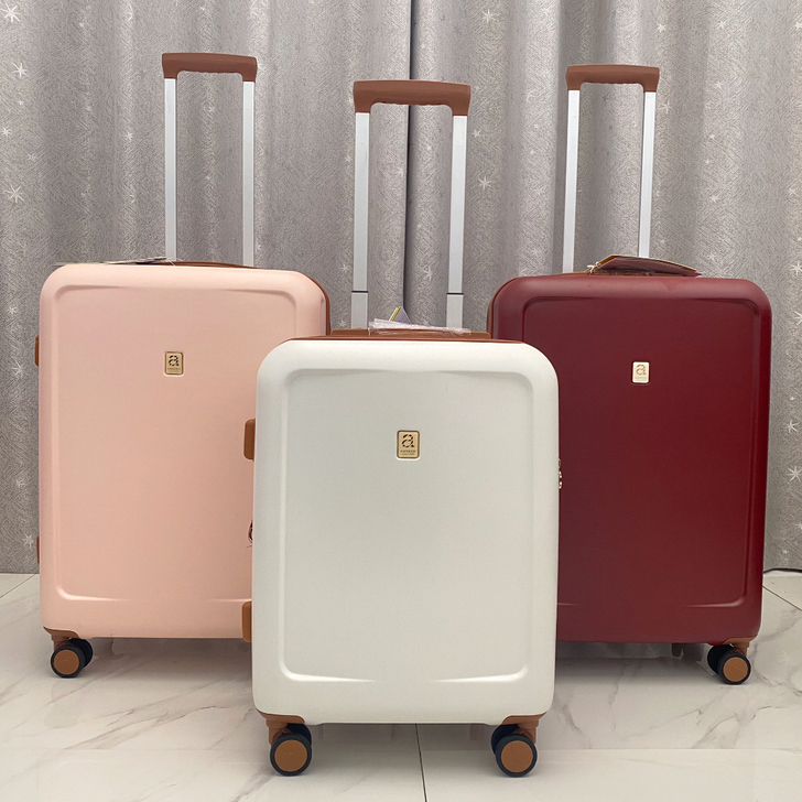 出口日本HINOMOTO静音密码箱20登机...