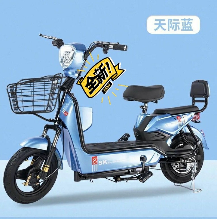 #节后鱼生#实体店处理全新国标电动车电瓶车...