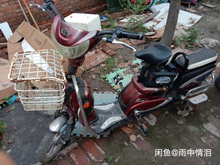 自己骑的爱玛电动车刚换的电瓶,不骑了转给有...