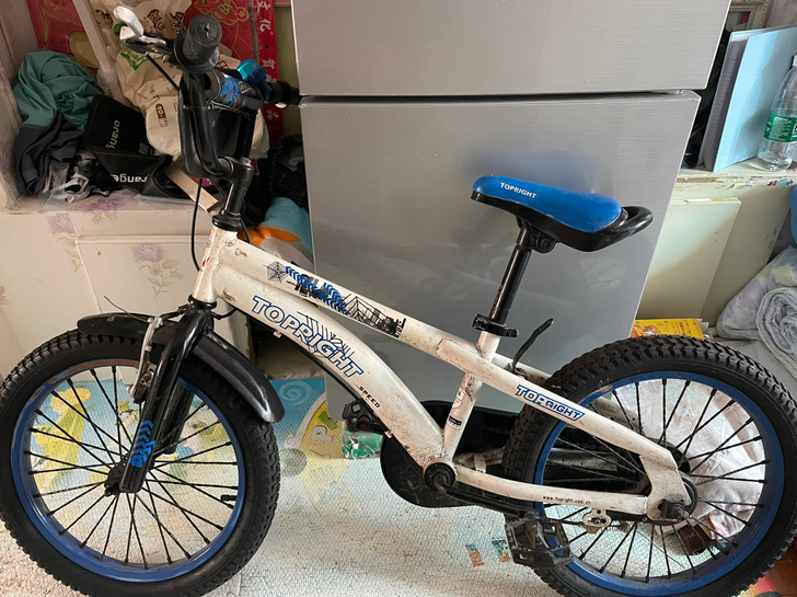 14寸，没骑多少次，放置好多年，全是灰，5...