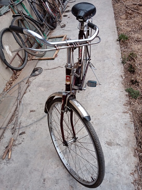 好品紫罗兰色26永久自行车